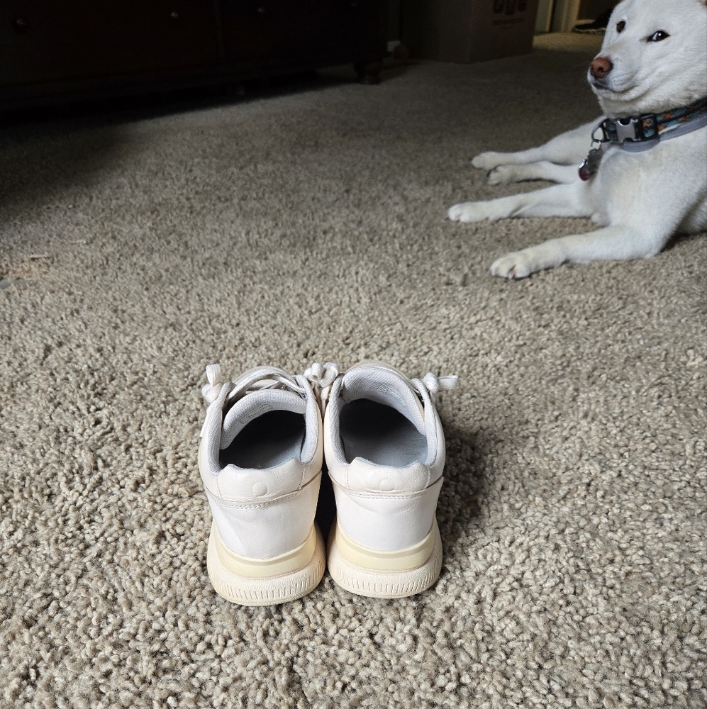 Everlane women's leather sneakers - Picture 3 of 8